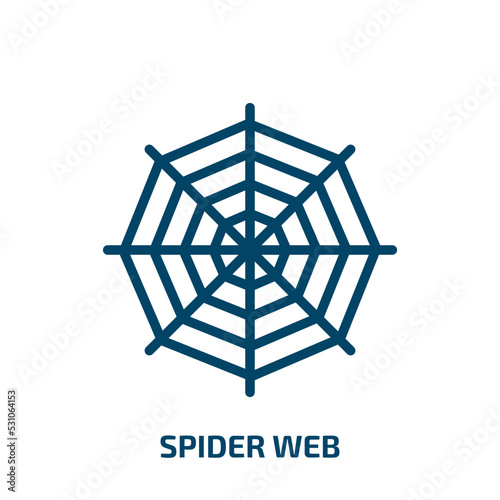spider web icon from user interface collection. Thin linear spider web, horror, spooky outline icon isolated on white background. Line vector spider web sign, symbol for web and mobile