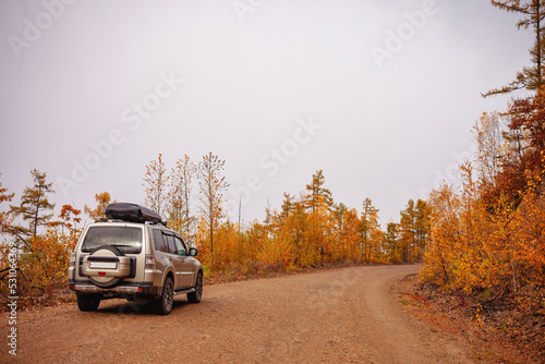 SUV on scenic autumn road in the forest