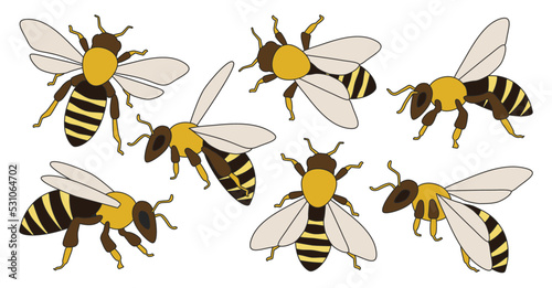 Honey bee isolated color set icon. Vector illustration animal of honeybee on white background. Vector color set icons honey bee .