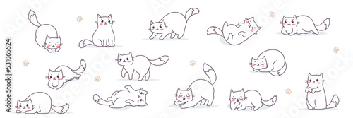 Vector set of illustration with happy cute different cat character on white color background with paw print. Flat line art style design of group of animal cat in different pose