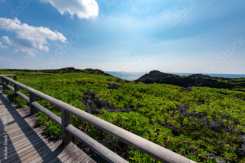 通り池の遊歩道