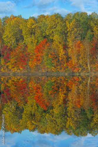 Autumn landscape of the shoreline of Moccasin Lake with mirrored reflections in calm water, Hiawatha National Forest, Michigan's Upper Peninsula, USA photo