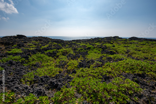 通り池からの風景