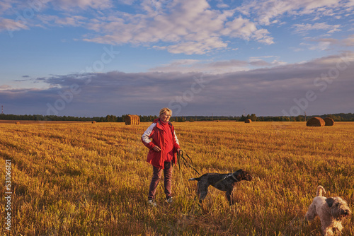 An elderly woman walks with two dogs on a mown field in the evening at sunset.