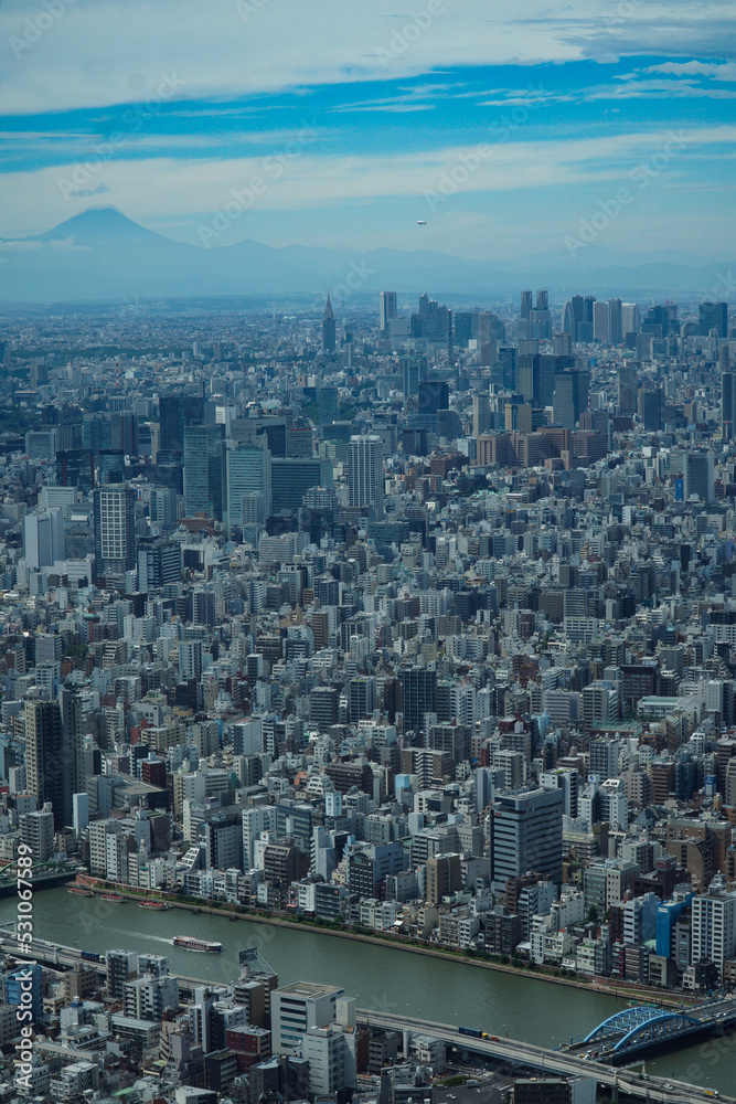 都市風景　東京スカイツリーからの眺める富士山