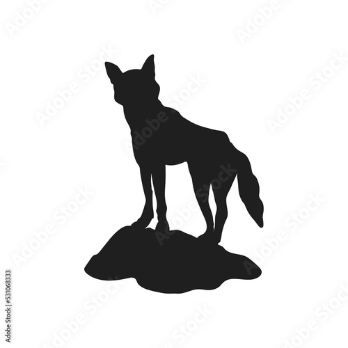 Dingo on rock black silhouette. Isolated australian dog. Young wolf on hill. Wildlife scenery. Wild fox portrait