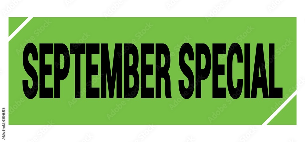 SEPTEMBER SPECIAL text on green-black grungy stamp sign.