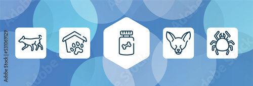 fauna outline icon set isolated on blue abstract background. thin line icons such as dog running, pet shelter, honey treat, fennec fox head, big mite vector. can be used for web and mobile.