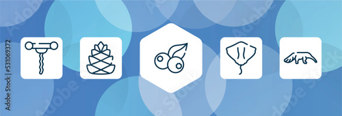 animals outline icon set isolated on blue abstract background. thin line icons such as corkscrew, pine cone, berries, stingray, anteater vector. can be used for web and mobile.