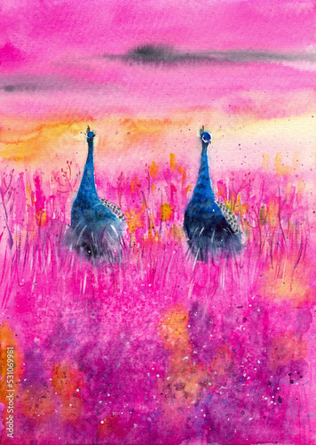 Watercolor illustration of two turquoise peacocks in a blooming bright pink field with wildflowers and tall grasses