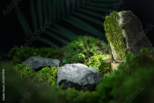 Natural forest product display with moss on rocks for product photography or mockup background. Stone male cosmetics photography background. Dark mockup with moss, stones and palm leaf in the back.