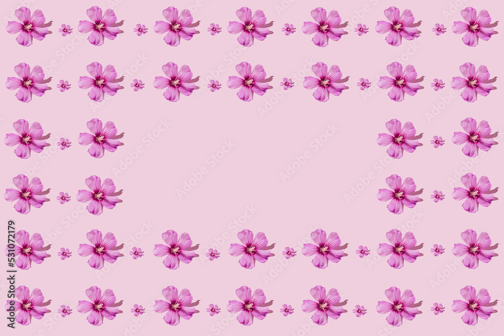 Floral pattern made of beautiful hibiscus flowers lying as a frame on pastel pink background. Minimal style. Nature concept. Copy space