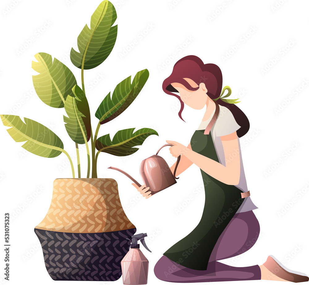 Woman Watering Houseplants illustration Woman Watering Houseplants illustration