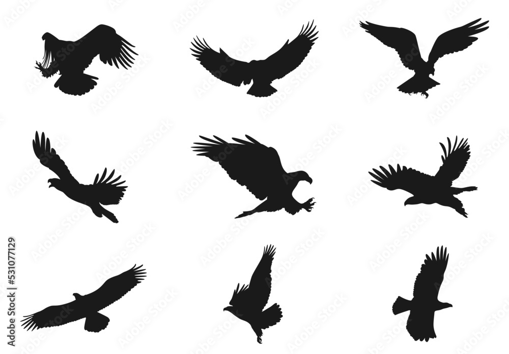 Obraz premium Set of eagle silhouettes with different angles