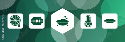 beauty filled icon set isolated on abstract background. glyph icons such as lemon juice, razorblade, foam, avocado, seductive vector. can be used for web and mobile.