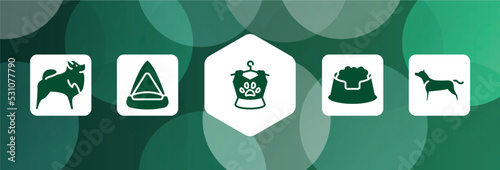 dog breeds fullbody filled icon set isolated on abstract background. glyph icons such as pomeranian, cat playhouse, pet clo, pet dish, american staffordshire terrier vector. can be used for web and