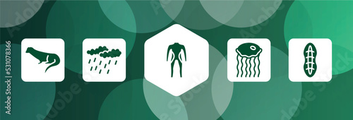 nature filled icon set isolated on abstract background. glyph icons such as otter, precipitation, diving suit, medusa, plankton vector. can be used for web and mobile.