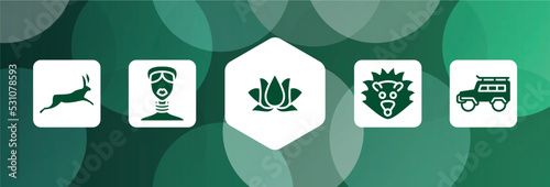 africa filled icon set isolated on abstract background. glyph icons such as hare, african, lotus, hedgehog, vector. can be used for web and mobile.