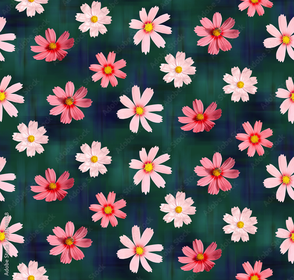 Isolated Calendula Daisy Real Flowers Photo Print Seamless Pattern Ombre Background Trendy Fashion Colors Elegant Chic Style Design Perfect for Allover Fabric Print