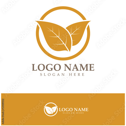 tobacco leaf logo,tobacco field and tobacco cigarette logo template design vector