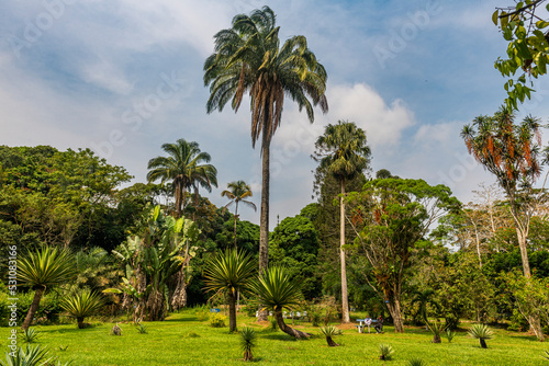 Kisantu botanical gardens, Kisantu, Democratic Republic of the Congo photo