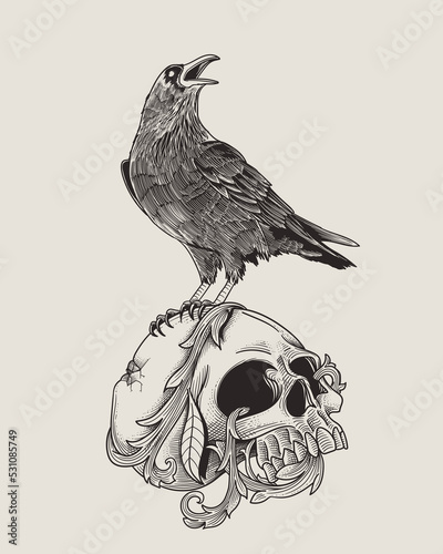 dead skull with standing raven
