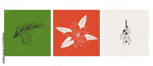 Winter plants cards. Pine cone, Poinsettia flower and xmas mistletoe. Christmas decor or postcards. Line decorative elegant elements. Hand drawn botanical vector elegance decor, isolated set