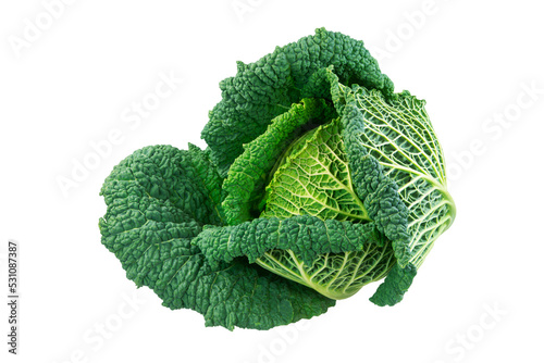 Closeup of an isolated fresh savoy cabbage head