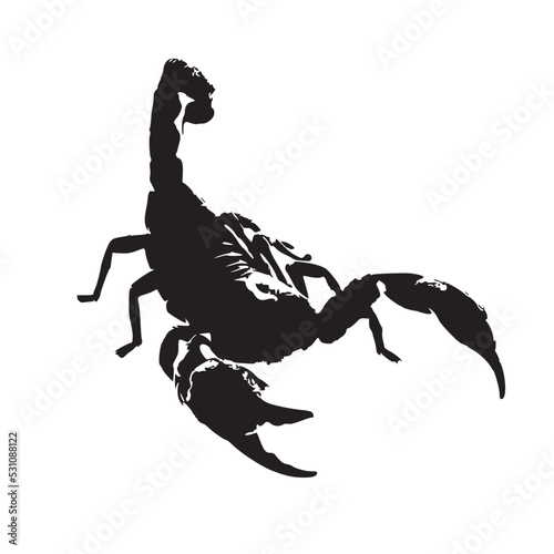 Realistic Scorpion vector black and white.