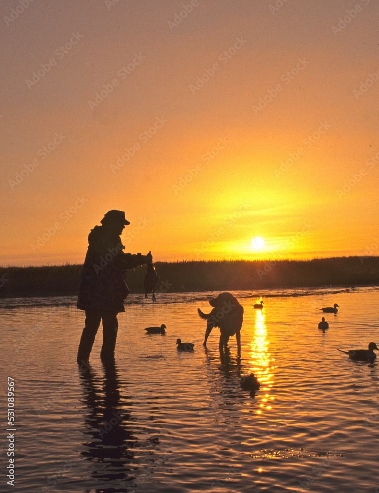 A hunter and a dog at sunrise 
