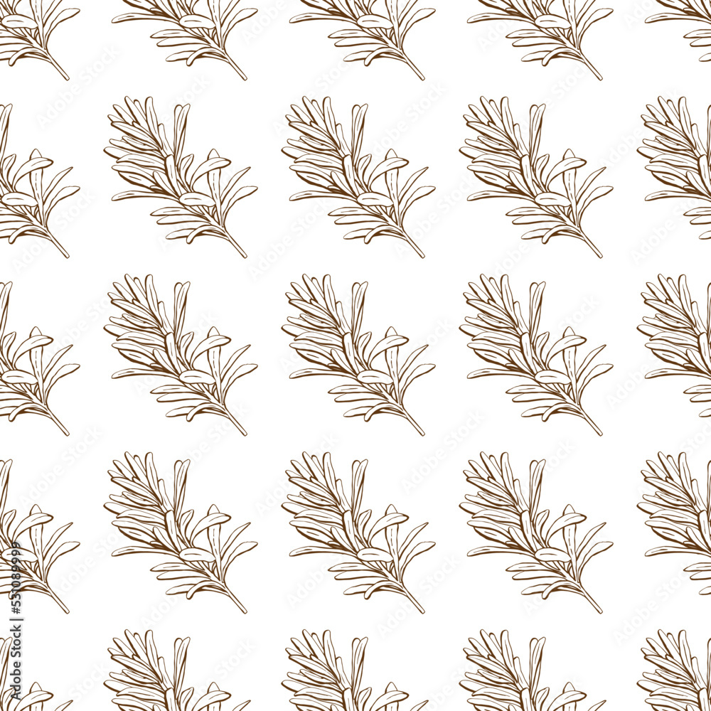 Rosemary, seamless pattern linear drawing in ink freehand. Graphic image of rosemary spice herb. Rosemary on a white background, for paper, fabric, covers, etc. Rosemary, seamless pattern linear drawing in ink freehand. Graphic image of rosemary spice herb. Rosemary on a white background, for paper, fabric, covers, etc.