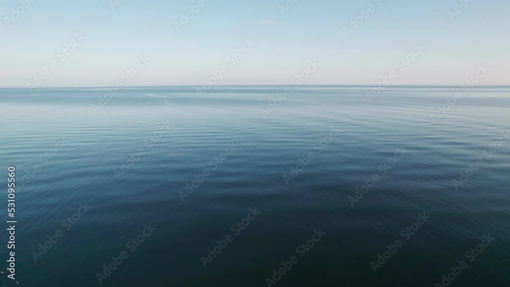 custom made wallpaper toronto digitalFlight to the calm surface of the sea in the morning.
