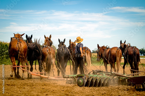 Farmer Plowing