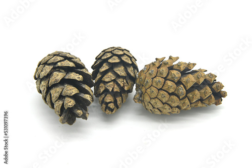 three pine cones on a white background