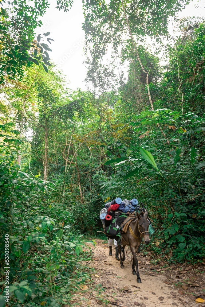 hicking in the mountains of colombia, camping travel hicking in the mountains of colombia, camping travel