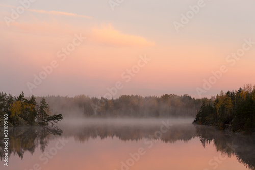 landscape with fog on a forest lake