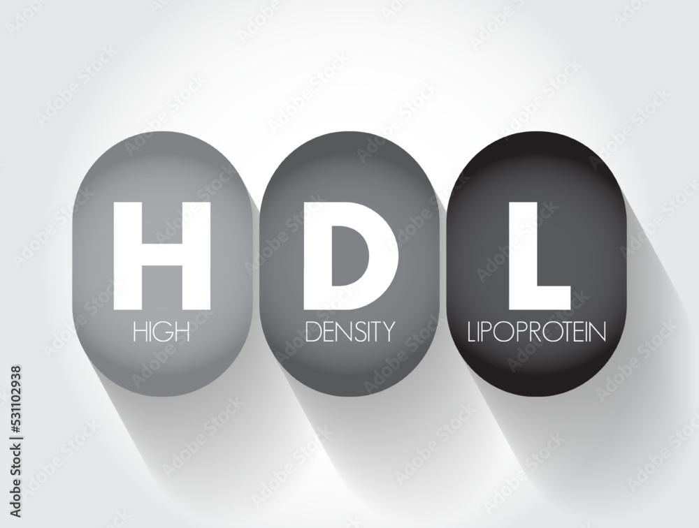 HDL High-Density Lipoprotein - one of the five major groups of lipoproteins, acronym text concept background