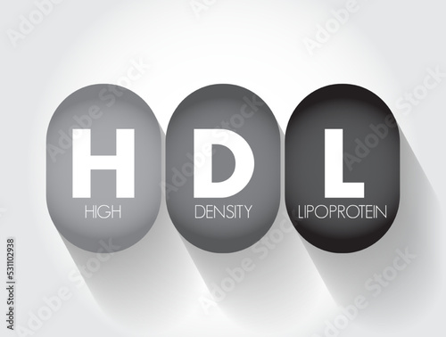 HDL High-Density Lipoprotein - one of the five major groups of lipoproteins, acronym text concept background