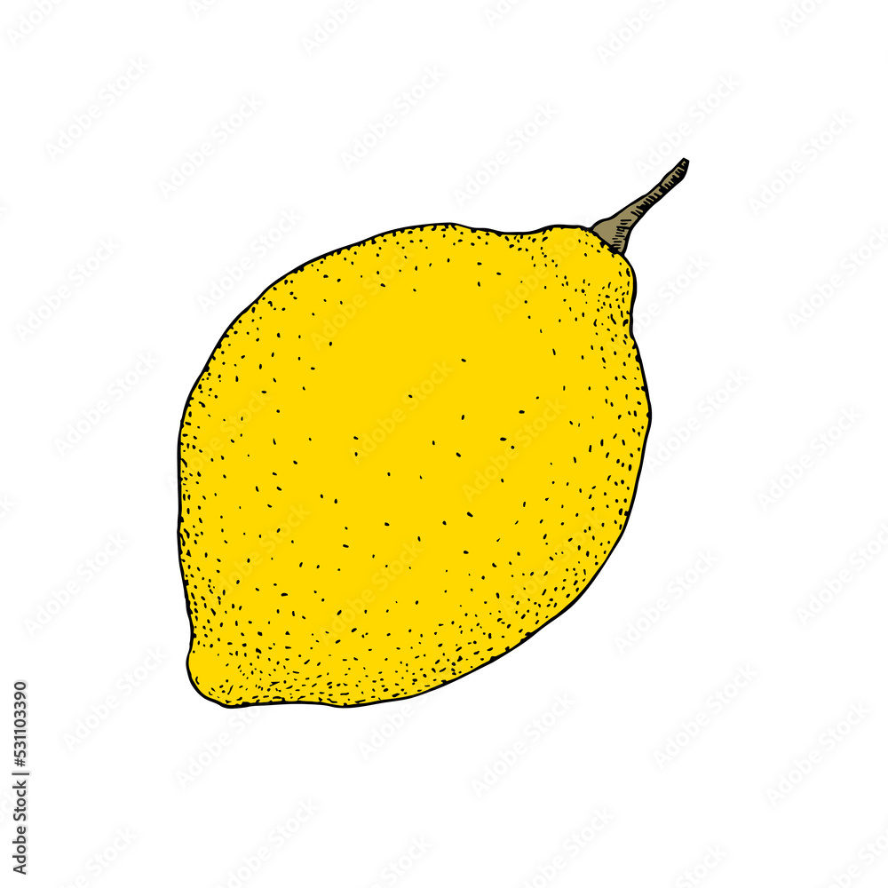 Detailed Lemon illustration with black stroke and points isolated on white background Detailed Lemon illustration with black stroke and points isolated on white background