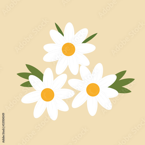 background with camomiles