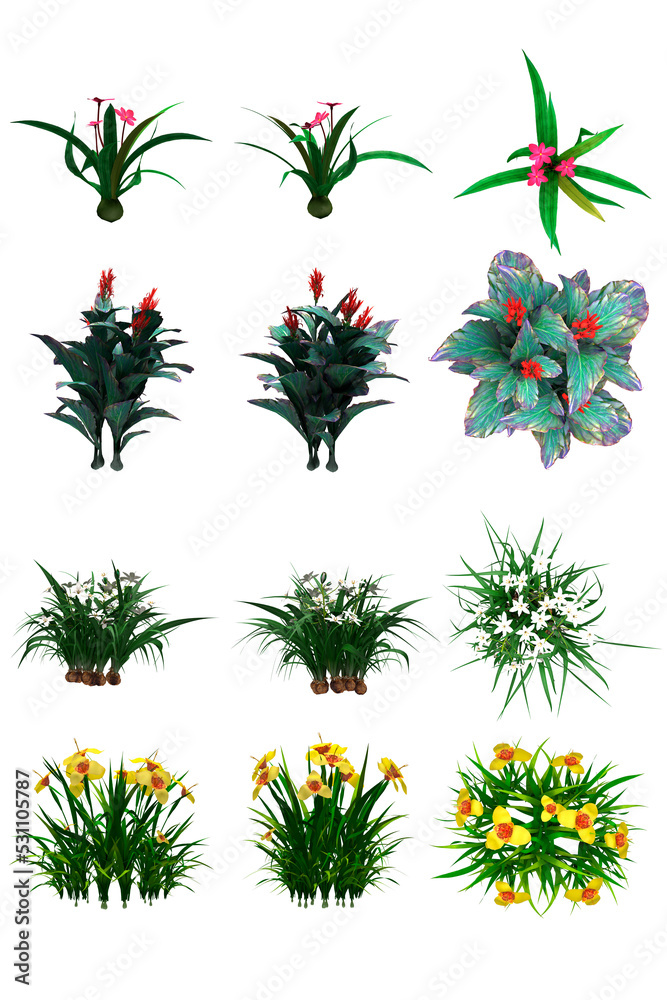 Pack of PNG vegetation. +6K. Flowering Bushes. Made from 3D model for compositing Pack of PNG vegetation. +6K. Flowering Bushes. Made from 3D model for compositing
