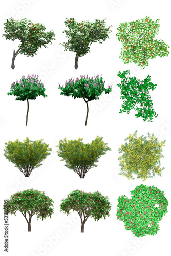 Pack of PNG vegetation.  6K. Flowering Bushes. Made from 3D model for compositing