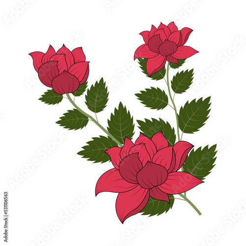 Beautiful color floral vector graphic design illustration on white background.
