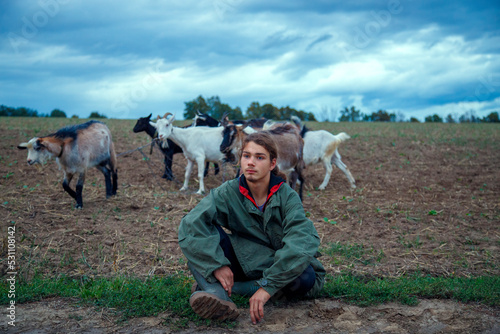Fototapeta Naklejka Na Ścianę i Meble -  A teenage boy grazes goats in a field. A shepherd with goats in a field against a stormy sky. The concept of animal husbandry, survival, household.