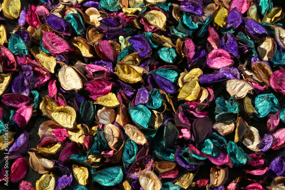  rose petal's colorful background 
