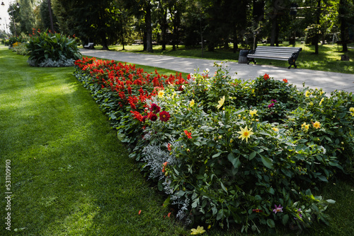 flowers park in the city