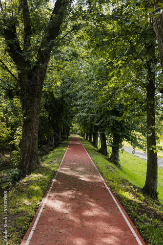 Rubber running track lane in public park at urban city. Nature trees and environment green space for recreation