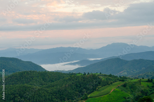 landscape in the morning