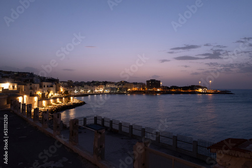 Vieste view of the port at sunset