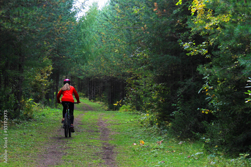 A girl in sportswear and a helmet rides a bicycle through the forest. Back view